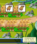 Farm