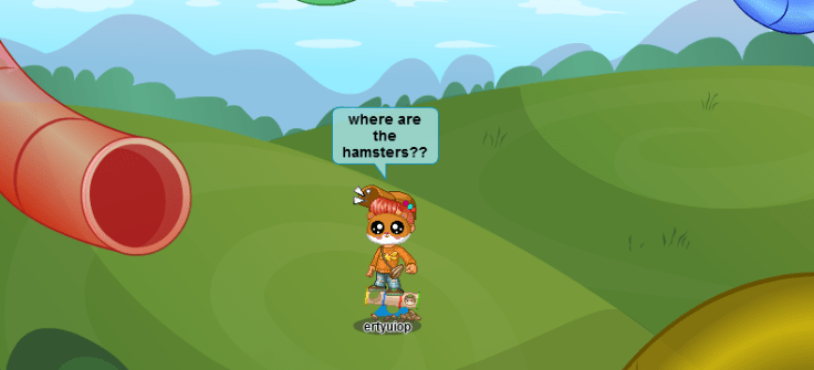 im a hamster